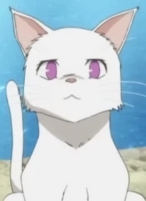Character: Himari NOIHARA [Cat Form]
