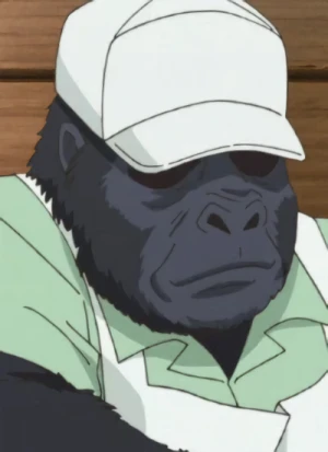 Middle-aged Gorilla of the Kitchen