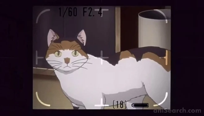 Screenshots [177884]