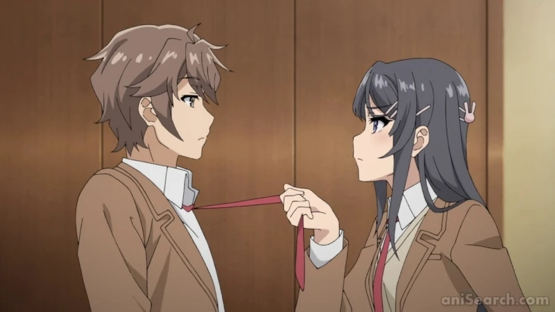 bunny girl senpai  Cute anime character, Kawaii anime girl, Mai sakurajima