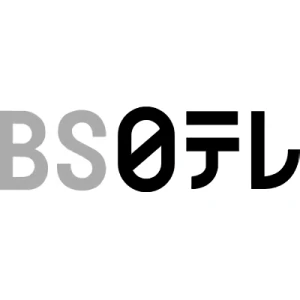 Company: BS Nippon Corporation