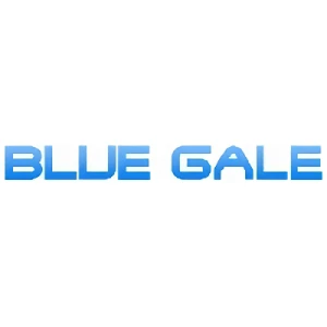 Company: Blue Gale Co., Ltd.