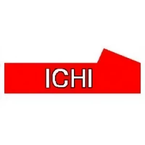Company: ICHI Corporation