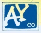 Company: AYCO Inc.