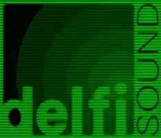 Company: Delfi Sound Inc.