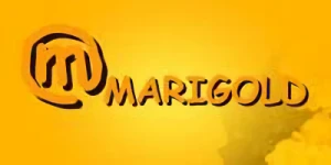 Company: Marigold Co., Ltd.