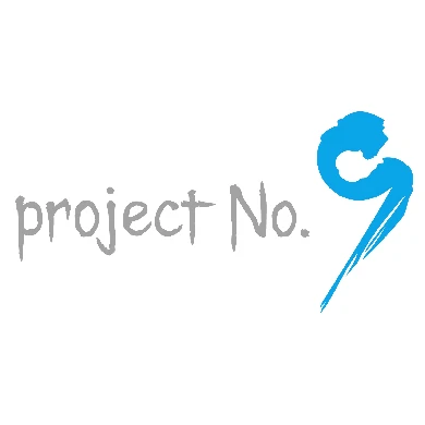 Company: project No.9