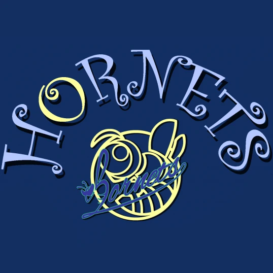 Company: HORNETS