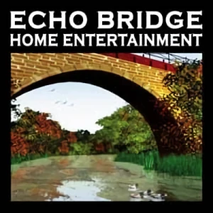 Company: Echo Bridge Acquisition Corp. LLC