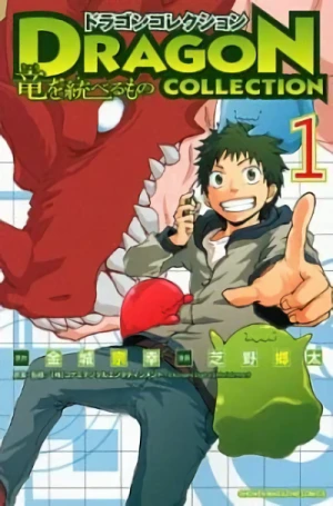 Manga: Dragon Collection: Ryuu o Suberumono