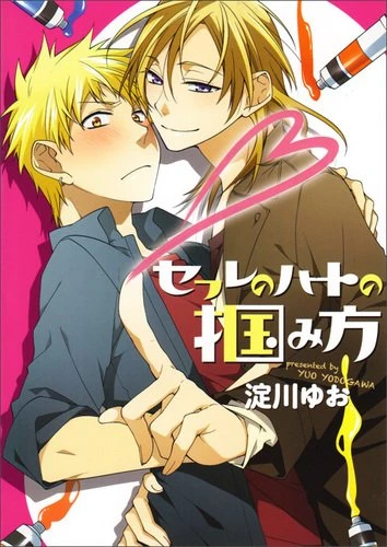 Manga: Sefure no Heart no Tsukamikata