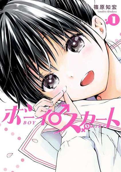 Manga: Boy Skirt