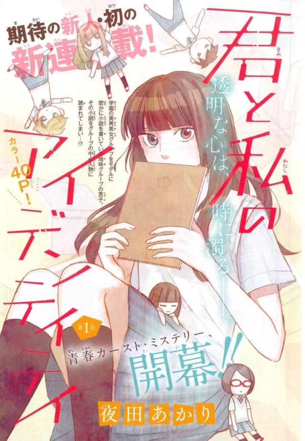 Manga: Kimi to Watashi no Identity
