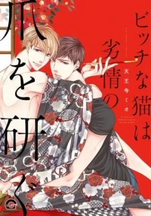 Manga: Bitch na Neko wa Retsujo no Tsume o Togu