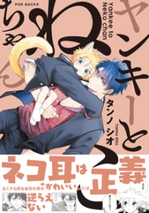 Manga: Yankee to Neko-chan