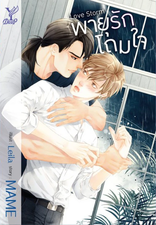 Manga: Love Storm
