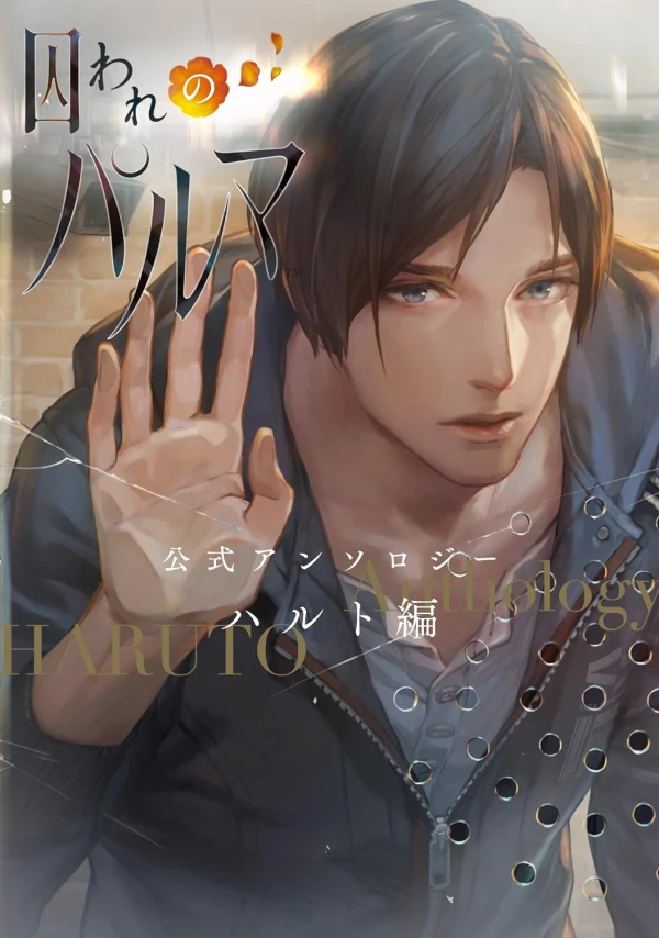 Manga: Toraware no Palm: Koushiki Anthology