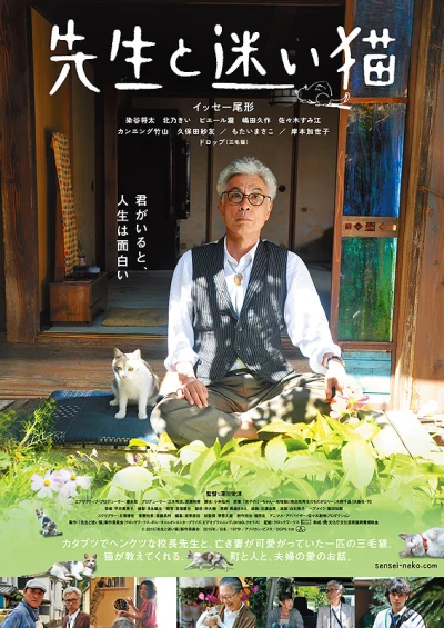 Movie: Sensei to Mayoi Neko