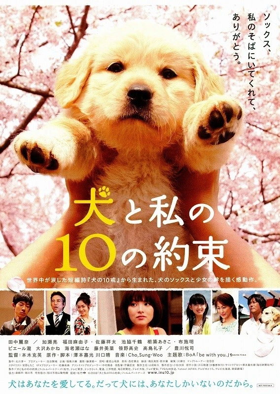 Movie: 10 Promises to My Dog